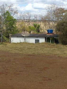 Foto de Terras sentido Indianópolis